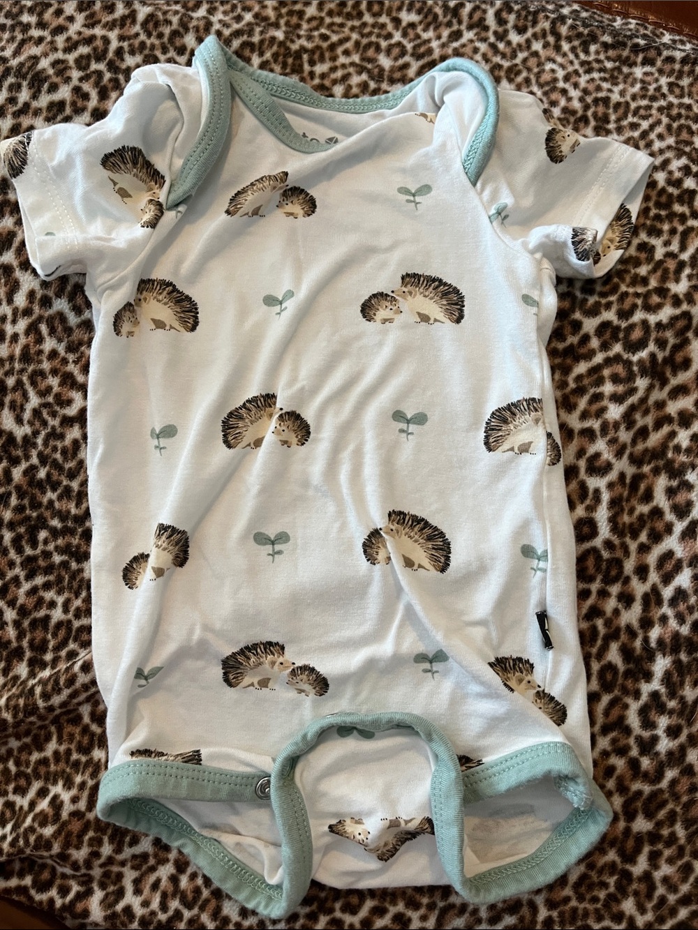 Kyte BABY White Onesie with Brown Hedgehog Print and Mint Trim